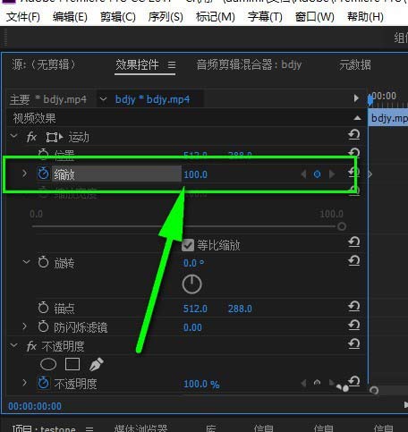 premiere,視頻,縮放
