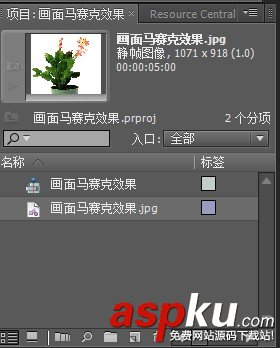 Premiere,馬賽克