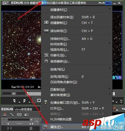 Edius,視頻