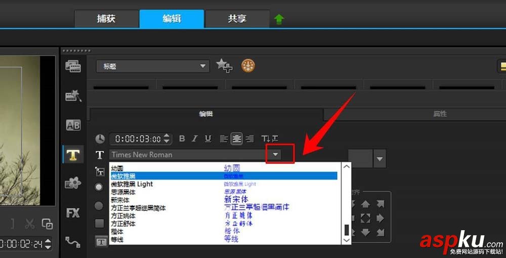 會聲會影,文字