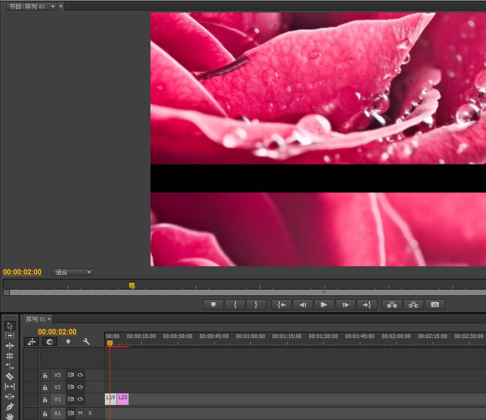 premiere,視頻