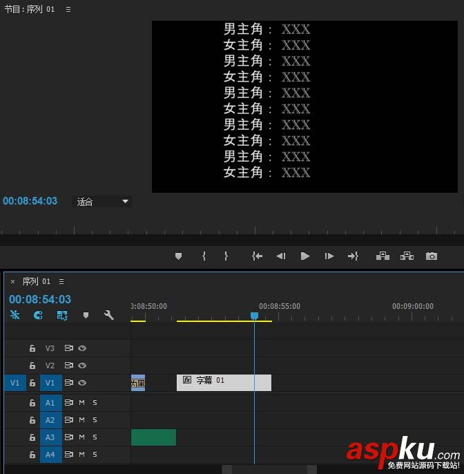 Premiere,字幕,視頻