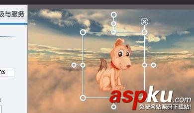 愛剪輯,圖片