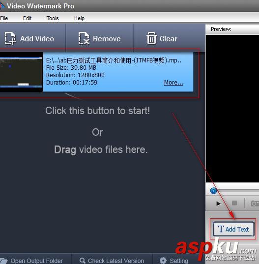 視頻,文字,VideoWatermarkPro