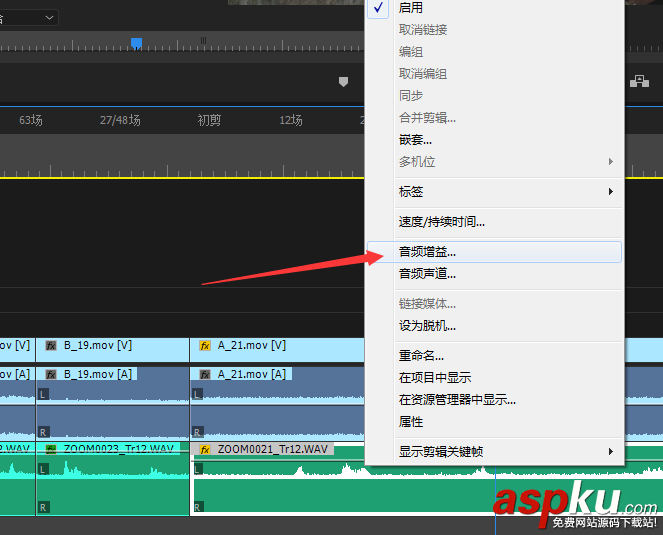 premiere,聲音