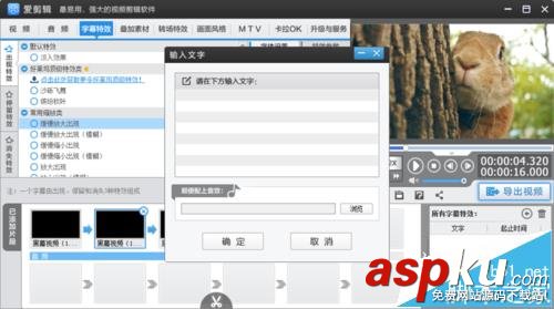 愛剪輯,字幕