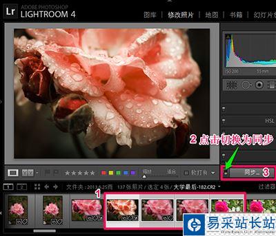 Lightroom批量處理的方法詳解