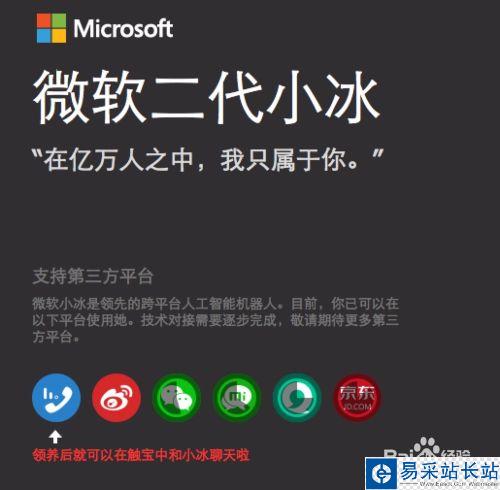 微軟小冰怎么領養，微軟小冰怎么升級