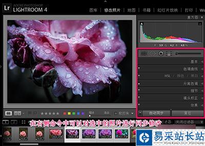 Lightroom批量處理的方法詳解