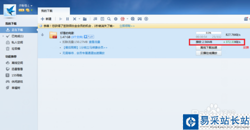 迅雷資源被舉報怎么辦