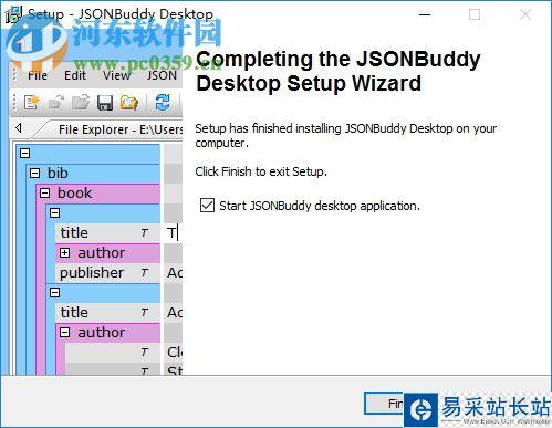 JSONBuddy(json編輯文本工具) 4.0.0.0 官方版
