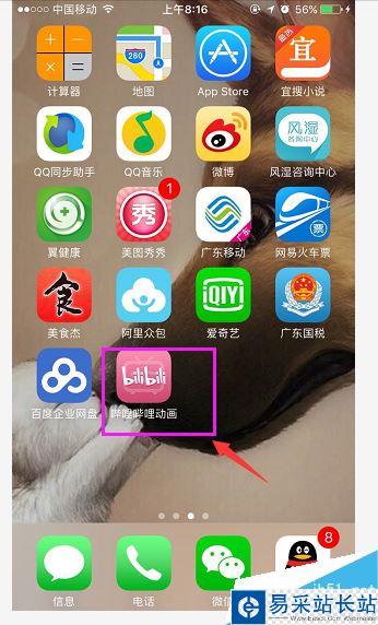 b站如何搜索用戶？嗶哩嗶哩bilibili搜索用戶全教程