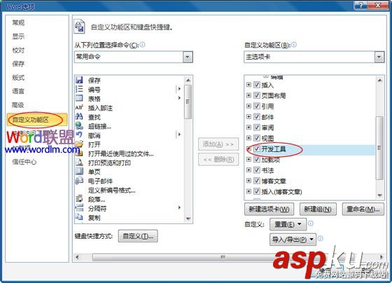 Office,開發工具