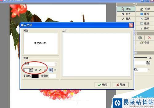 怎么樣用光影魔術手給圖片添加文字？