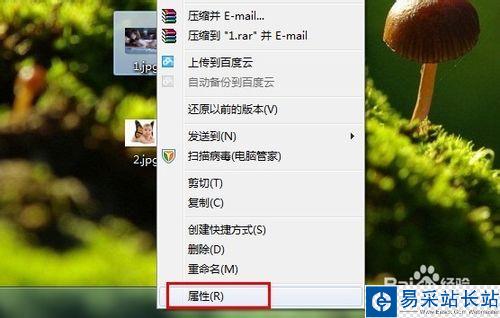 如何查看照片是否被PS處理過？