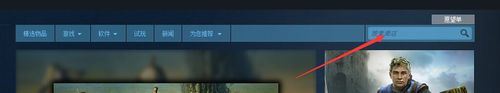 Steam,游戲,購買,安裝