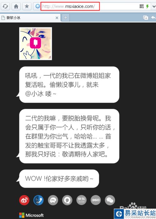微軟小冰在哪里領養？微軟二代小冰怎么領養