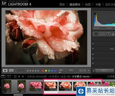 Lightroom批量處理的方法詳解