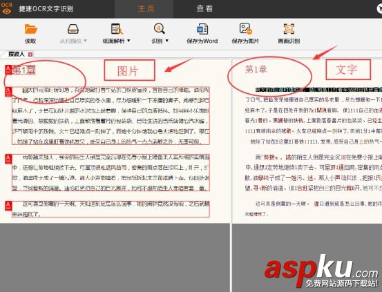 圖片,文字