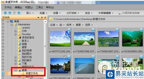 acdsee批量修改圖片大小方法2