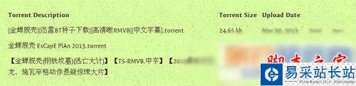 torrentkitty番號如何使用 torrentkitty番號使用教程