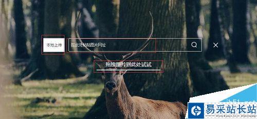 百度怎么搜圖識別？百度識圖功能教程