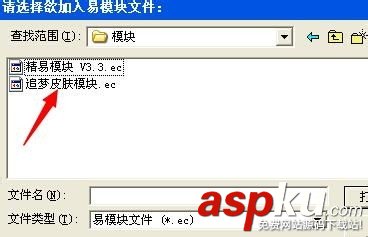易語言,皮膚