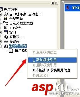 易語言,皮膚