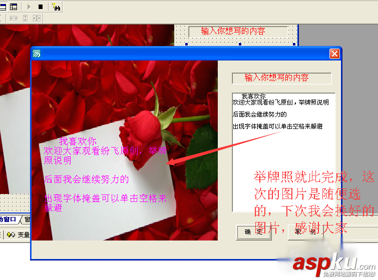易語言,舉牌照