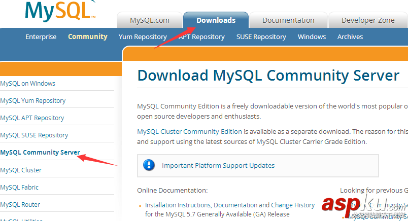 MySQL,安裝,密碼,配置