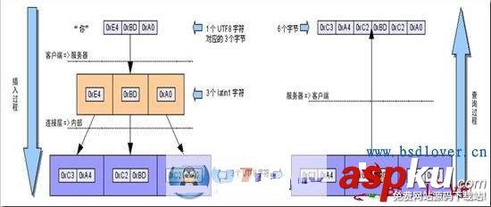 MySQL,亂碼