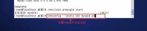 CentOS,MySQL安裝,yum
