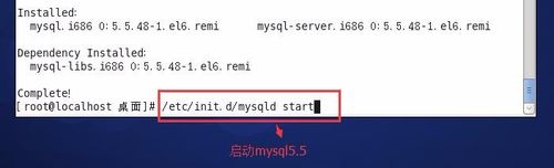 CentOS,MySQL安裝,yum