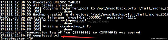刪庫,xtraback,備份,MySQL,數據庫