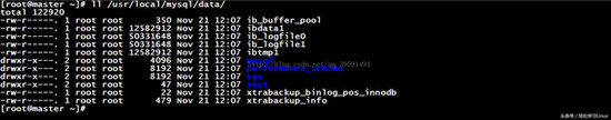 刪庫,xtraback,備份,MySQL,數據庫