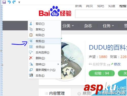 畫圖工具,圖片