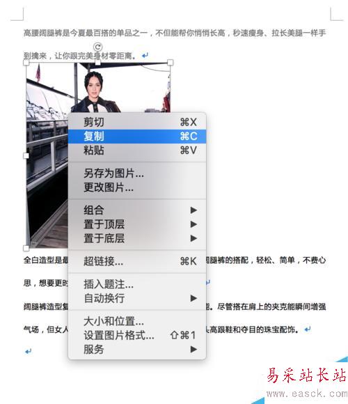 Word 插入圖片及排版