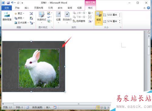 Word2010刪除圖片背景實現局部提取怎么做