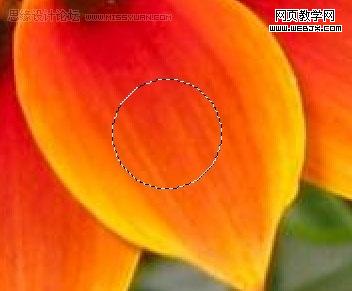 photoshop入門教程:繪制質感水珠_網頁設計