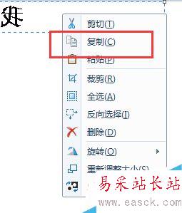 word2003如何反向字體
