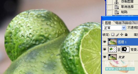 photoshop照片合成教程:變異的青蛙