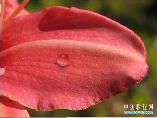 photoshop輕松繪制樹葉上的露珠_網頁設計webjx.com整理