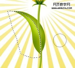 photoshop教程：繪制好看的花朵26