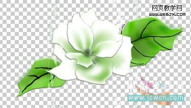 photoshop鼠繪教程：繪制康師傅茉莉清茶圖解_中國教程網