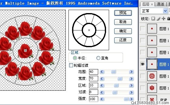 photoshop制作另類的紅玫瑰花動畫_webjx.com