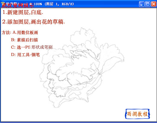photosho鼠繪教程:國色天香牡丹花