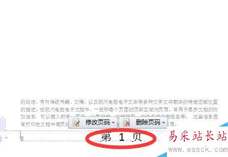 word文檔怎么插入頁腳
