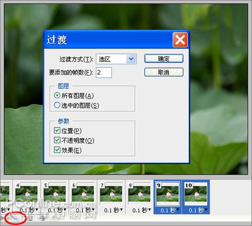 photoshop cs3教程：蜻蜓落荷花動畫
