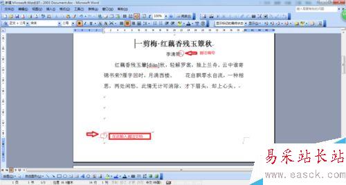 如何在word中插入正確的注解