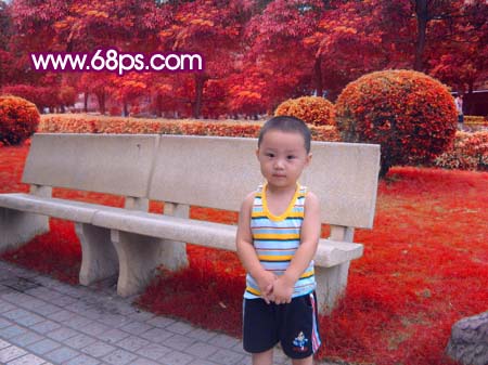 ps調色:綠樹綠草地背景調夢幻粉紅色調_webjx.com